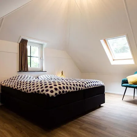 Luxurious With Dishwasher Close To De Veluwe Villa